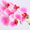 Artificial Flower 33*28*52CM Phalaenopsis in Terra-cotta effect plastic pot GS-15420018 2 Artificial Flower 33*28*52CM Phalaenopsis in Terra-cotta effect plastic pot GS-15420018