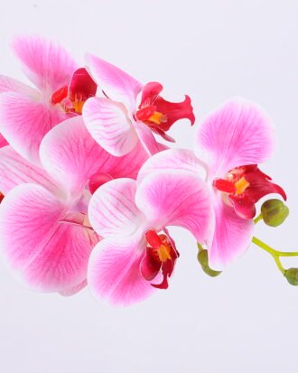 Artificial Flower 33*28*52CM Phalaenopsis in Terra-cotta effect plastic pot GS-15420018 Potted Flowers&Plants YeahFlower is one of Chinese leading OEM manufacturers and exporters , supplying the silk flowers, wholesale artificial trees Artificial Flower 33*28*52CM Phalaenopsis in Terra-cotta effect plastic pot GS-15420018