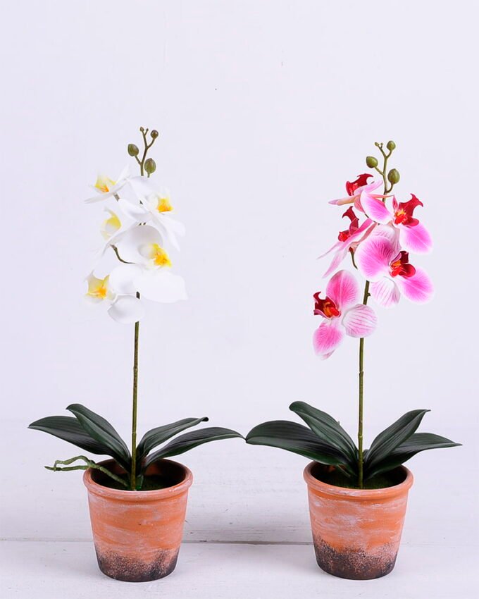 Artificial Flower 21*15*46CM Phalaenopsis in Terra-cotta effect plastic pot GS-15420019 1 Artificial Flower 21*15*46CM Phalaenopsis in Terra-cotta effect plastic pot GS-15420019