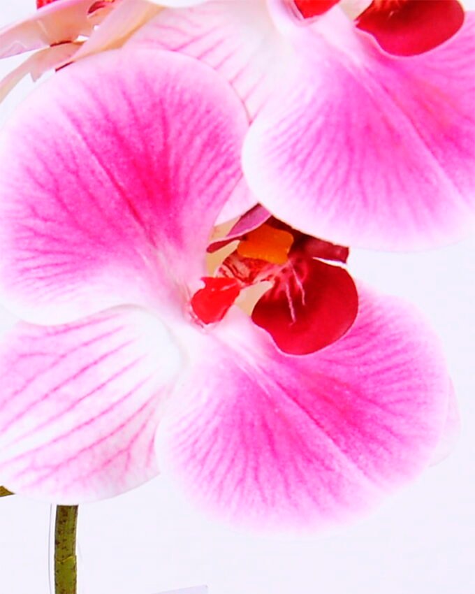 Artificial Flower 21*15*46CM Phalaenopsis in Terra-cotta effect plastic pot GS-15420019 2 Artificial Flower 21*15*46CM Phalaenopsis in Terra-cotta effect plastic pot GS-15420019