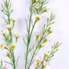 Artificial Flower 14*54CM Singel Wintersweet spray GS-39120005-P1