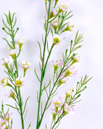 Artificial Flower 14*54CM Singel Wintersweet spray GS-39120005-P1