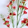 Artificial Flower 14*54CM Singel Wintersweet spray GS-39120005-R1
