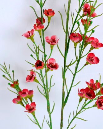 Artificial Flower 14*54CM Singel Wintersweet spray GS-39120005-R1