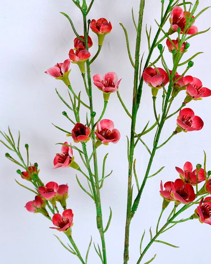 Artificial Flower 14*54CM Singel Wintersweet spray GS-39120005-R1