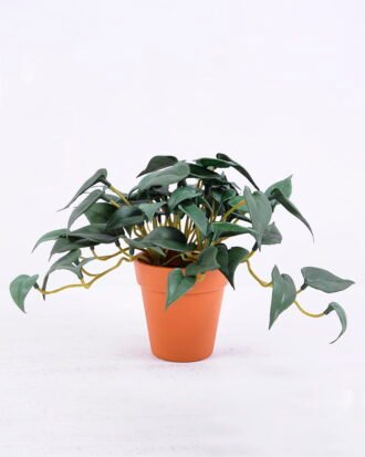 Artificial Plant 17*12*13CM Anthurium Leaves In Plastic Pot GS-47120018-G1