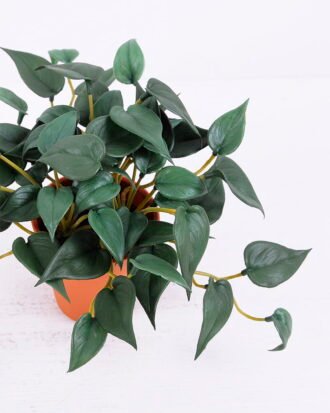 Artificial Plant 17*12*13CM Anthurium Leaves In Plastic Pot GS-47120018-G1