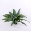 Artificial Plant 75*75*43cm Boston ferns in Plastic pot GS-03320072 1 Artificial Plant 75*75*43cm Boston ferns in Plastic pot GS-03320072