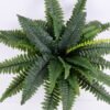 Artificial Plant 75*75*43cm Boston ferns in Plastic pot GS-03320072 2 Artificial Plant 75*75*43cm Boston ferns in Plastic pot GS-03320072