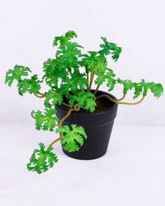 Artificial Plant 17*12*13CM Coriander Leaves In Plastic Pot GS-47120015-G2