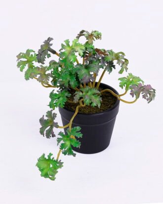 Artificial Plant 17*12*13CM Coriander Leaves In Plastic Pot GS-47120015-Z1