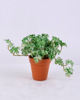 Artificial Plant 18*19*14CM Coriander Leaves In Plastic Pot GS-47120020-G2
