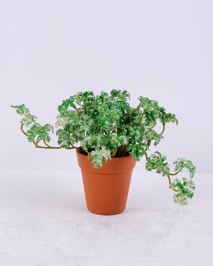 Artificial Plant 18*19*14CM Coriander Leaves In Plastic Pot GS-47120020-G2