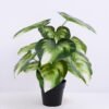 Artificial Plant 30*30*34cm Epipremnum aureum leaf in Plastic pot GS-03320089 1 Artificial Plant 30*30*34cm Epipremnum aureum leaf in Plastic pot GS-03320089