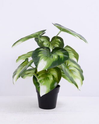 Artificial Plant 30*30*34cm Epipremnum aureum leaf in Plastic pot GS-03320089 Potted Flowers&Plants YeahFlower is one of Chinese leading OEM manufacturers and exporters , supplying the silk flowers, wholesale artificial trees Artificial Plant 30*30*34cm Epipremnum aureum leaf in Plastic pot GS-03320089