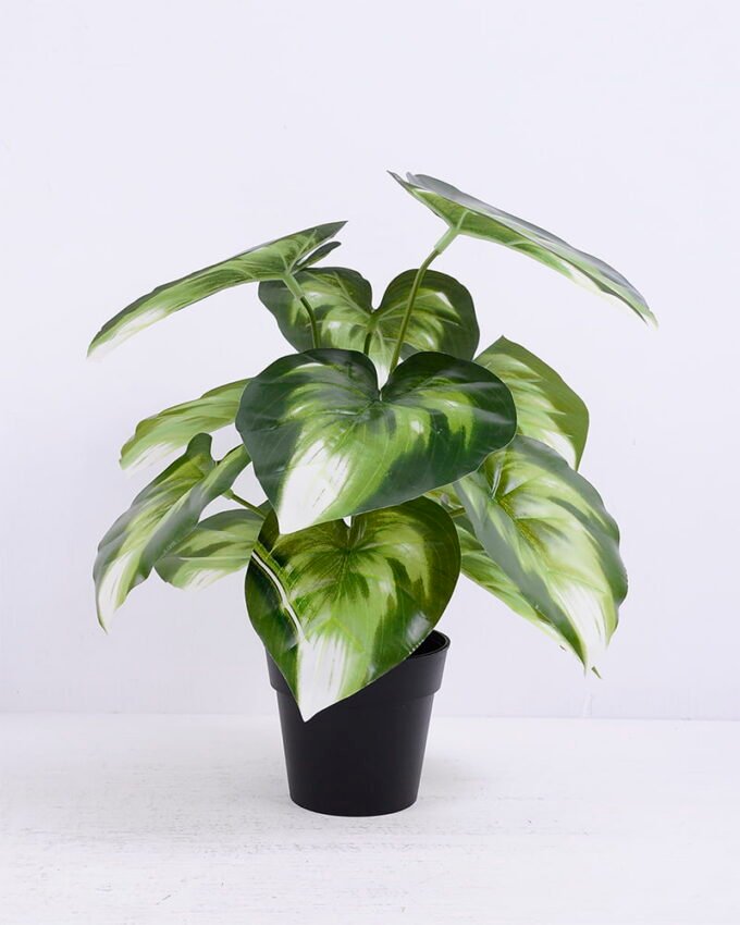 Artificial Plant 30*30*34cm Epipremnum aureum leaf in Plastic pot GS-03320089 1 Artificial Plant 30*30*34cm Epipremnum aureum leaf in Plastic pot GS-03320089