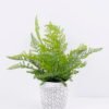 Artificial Plant 27*33*35CM Fern in cement pot /outdoor GS-48120001