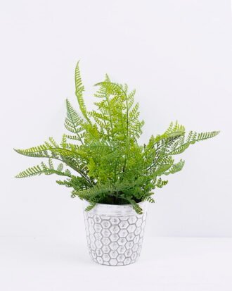 Artificial Plant 27*33*35CM Fern in cement pot /outdoor GS-48120001 Potted Flowers&Plants YeahFlower is one of Chinese leading OEM manufacturers and exporters , supplying the silk flowers, wholesale artificial trees Artificial Plant 27*33*35CM Fern in cement pot /outdoor GS-48120001