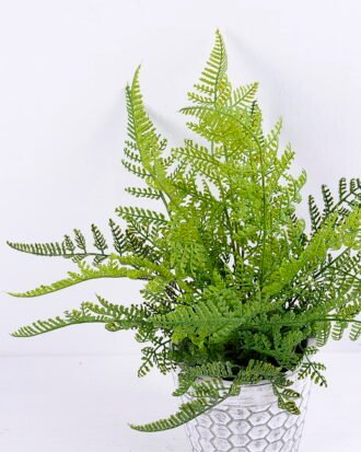 Artificial Plant 27*33*35CM Fern in cement pot /outdoor GS-48120001 Potted Flowers&Plants YeahFlower is one of Chinese leading OEM manufacturers and exporters , supplying the silk flowers, wholesale artificial trees Artificial Plant 27*33*35CM Fern in cement pot /outdoor GS-48120001