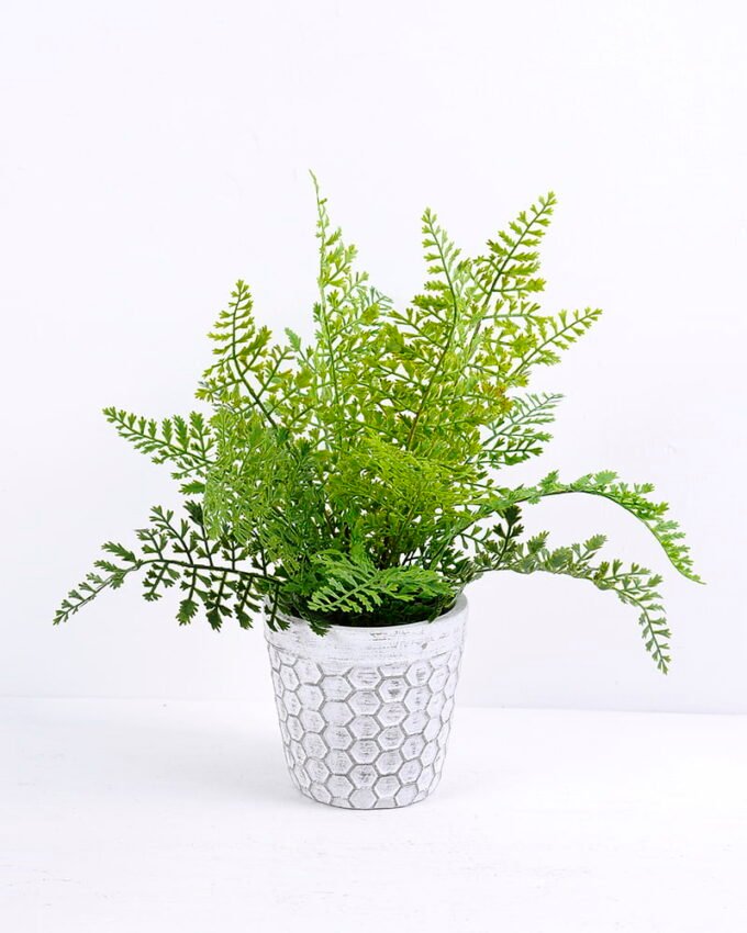 Artificial Plant 32*33*34CM Fern in cement pot /outdoor GS-48120004 1 Artificial Plant 32*33*34CM Fern in cement pot /outdoor GS-48120004