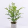 Artificial Plant 32*34*58CM Fern in cement pot /outdoor GS-48120030