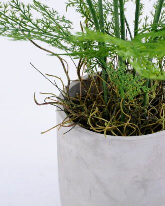 Artificial Plant 32*34*58CM Fern in cement pot /outdoor GS-48120030 Potted Flowers&Plants YeahFlower is one of Chinese leading OEM manufacturers and exporters , supplying the silk flowers, wholesale artificial trees Artificial Plant 32*34*58CM Fern in cement pot /outdoor GS-48120030