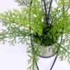 Artificial Plant 37*33*32CM Fern in iron pot with iron frame/outdoor GS-48120005