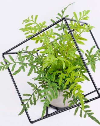 Artificial Plant 31*34*29.5CM Fern in iron pot with iron frame/outdoor GS-48120012 Potted Flowers&Plants YeahFlower is one of Chinese leading OEM manufacturers and exporters , supplying the silk flowers, wholesale artificial trees Artificial Plant 31*34*29.5CM Fern in iron pot with iron frame/outdoor GS-48120012