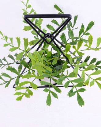 Artificial Plant 36*38*33CM Fern in iron pot with iron frame/outdoor GS-48120021 Potted Flowers&Plants YeahFlower is one of Chinese leading OEM manufacturers and exporters , supplying the silk flowers, wholesale artificial trees Artificial Plant 36*38*33CM Fern in iron pot with iron frame/outdoor GS-48120021