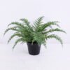 Artificial Plant 34*34*23cm Fern in plastic pot GS-03320030-G1 1 Artificial Plant 34*34*23cm Fern in plastic pot GS-03320030-G1