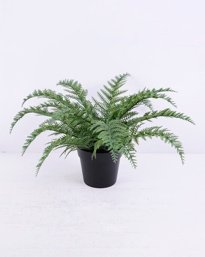 Artificial Plant 34*34*23cm Fern in plastic pot GS-03320030-G1 1 Artificial Plant 34*34*23cm Fern in plastic pot GS-03320030-G1