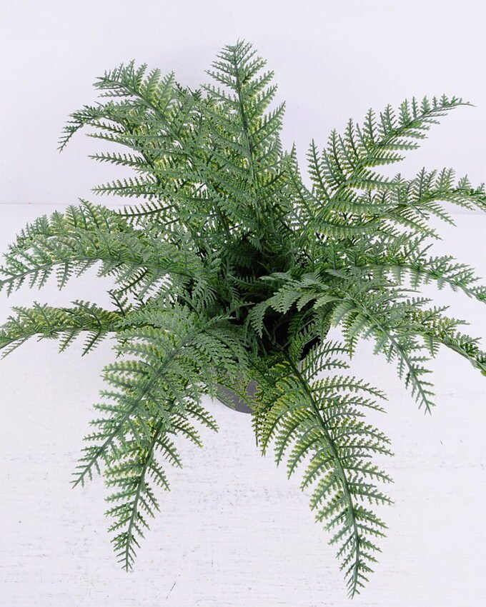 Artificial Plant 34*34*23cm Fern in plastic pot GS-03320030-G1 2 Artificial Plant 34*34*23cm Fern in plastic pot GS-03320030-G1