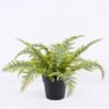 Artificial Plant 34*34*23cm Fern in plastic pot GS-03320030-G2 1 Artificial Plant 34*34*23cm Fern in plastic pot GS-03320030-G2
