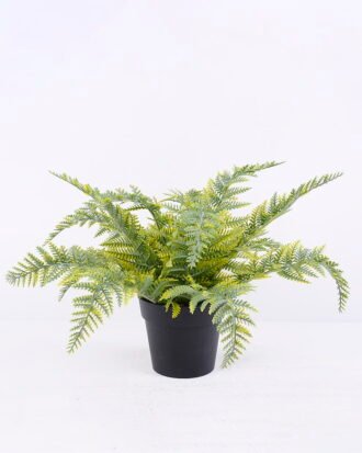 Artificial Plant 34*34*23cm Fern in plastic pot GS-03320030-G2 Potted Flowers&Plants YeahFlower is one of Chinese leading OEM manufacturers and exporters , supplying the silk flowers, wholesale artificial trees Artificial Plant 34*34*23cm Fern in plastic pot GS-03320030-G2