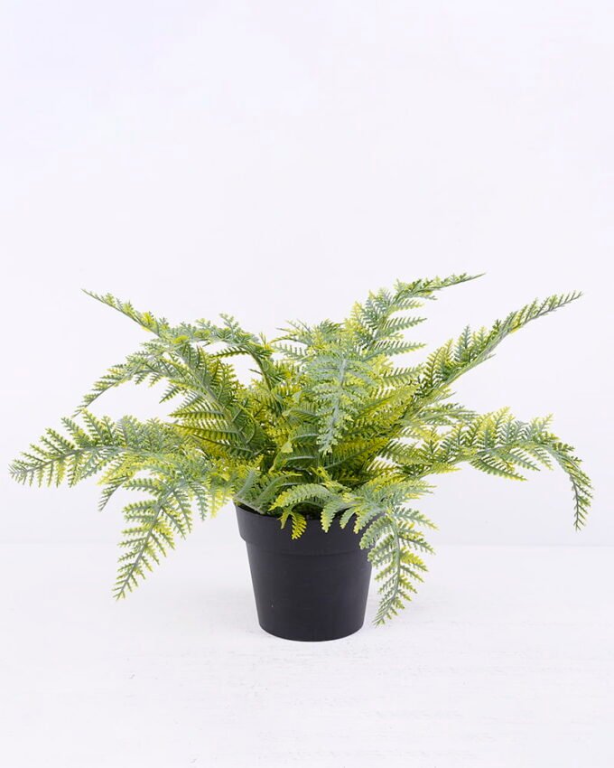 Artificial Plant 34*34*23cm Fern in plastic pot GS-03320030-G2 1 Artificial Plant 34*34*23cm Fern in plastic pot GS-03320030-G2