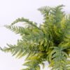 Artificial Plant 34*34*23cm Fern in plastic pot GS-03320030-G2 2 Artificial Plant 34*34*23cm Fern in plastic pot GS-03320030-G2