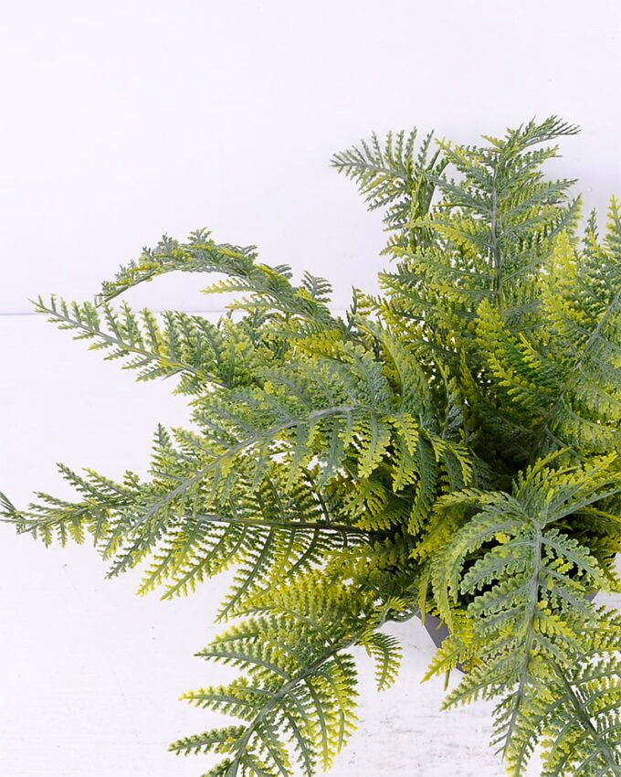 Artificial Plant 34*34*23cm Fern in plastic pot GS-03320030-G2 2 Artificial Plant 34*34*23cm Fern in plastic pot GS-03320030-G2