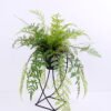 Artificial Plant 46*41*56CM Fern in plastic pot with iron frame/outdoor GS-48120023