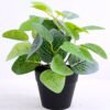 Artificial Plant 20*20*22cm Fittonia in plastic pot GS-03320060 1 Artificial Plant 20*20*22cm Fittonia in plastic pot GS-03320060