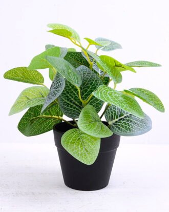 Artificial Plant 20*20*22cm Fittonia in plastic pot GS-03320060