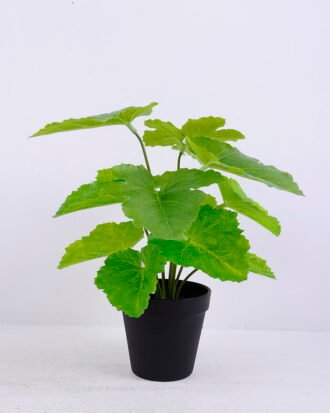 Artificial Plant 30*30*34cm Hami melon leaf in Plastic pot GS-03320086 Potted Flowers&Plants YeahFlower is one of Chinese leading OEM manufacturers and exporters , supplying the silk flowers, wholesale artificial trees Artificial Plant 30*30*34cm Hami melon leaf in Plastic pot GS-03320086