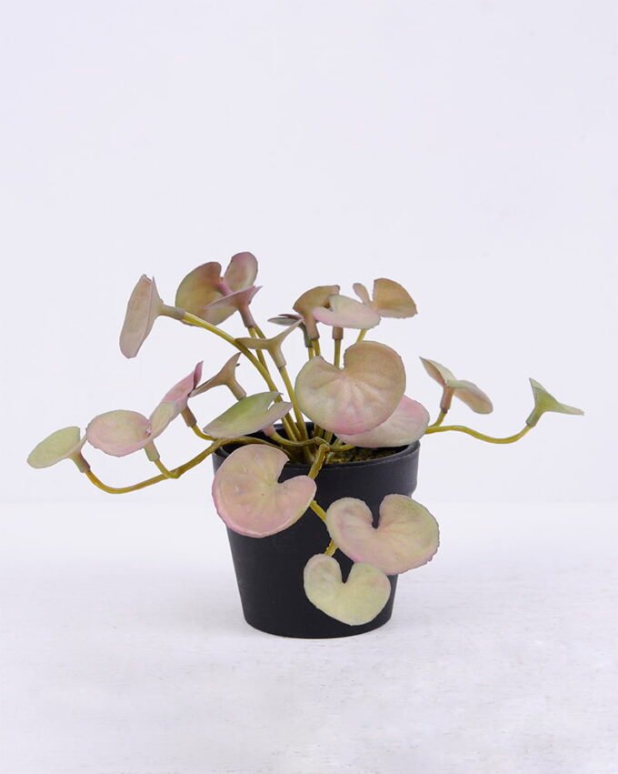 Artificial Plant 16*13*13CM Hydrocotyle Leaves In Plastic Pot GS-47120016-Z1 1 Artificial Plant 16*13*13CM Hydrocotyle Leaves In Plastic Pot GS-47120016-Z1