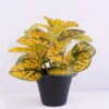 Artificial Plant 22*22*21cm Hypoestes phyllostachya in plastic pot GS-03320056 1 Artificial Plant 22*22*21cm Hypoestes phyllostachya in plastic pot GS-03320056