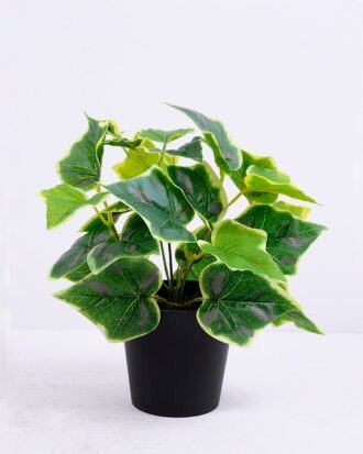 Artificial Plant 24*24*24cm Ivy in plastic pot GS-03320062