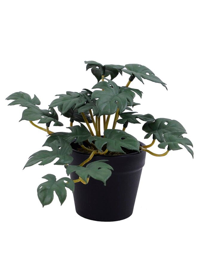 Artificial Plant 15*15*12CM Monstera Leaves In Plastic Pot GS-47120017-G1 1 Artificial Plant 15*15*12CM Monstera Leaves In Plastic Pot GS-47120017-G1