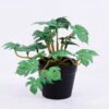Artificial Plant 15*15*12CM Monstera Leaves In Plastic Pot GS-47120017-G3