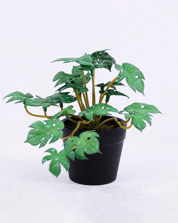Artificial Plant 15*15*12CM Monstera Leaves In Plastic Pot GS-47120017-G3