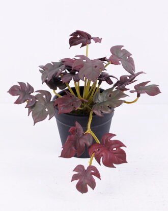 Artificial Plant 15*15*12CM Monstera Leaves In Plastic Pot GS-47120017-R1 Potted Flowers&Plants YeahFlower is one of Chinese leading OEM manufacturers and exporters , supplying the silk flowers, wholesale artificial trees Artificial Plant 15*15*12CM Monstera Leaves In Plastic Pot GS-47120017-R1