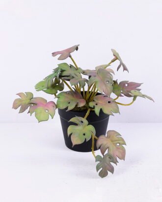 Artificial Plant 15*15*12CM Monstera Leaves In Plastic Pot GS-47120017-Z1