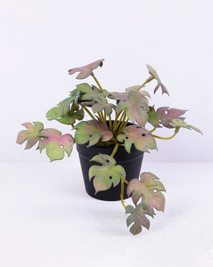 Artificial Plant 15*15*12CM Monstera Leaves In Plastic Pot GS-47120017-Z1